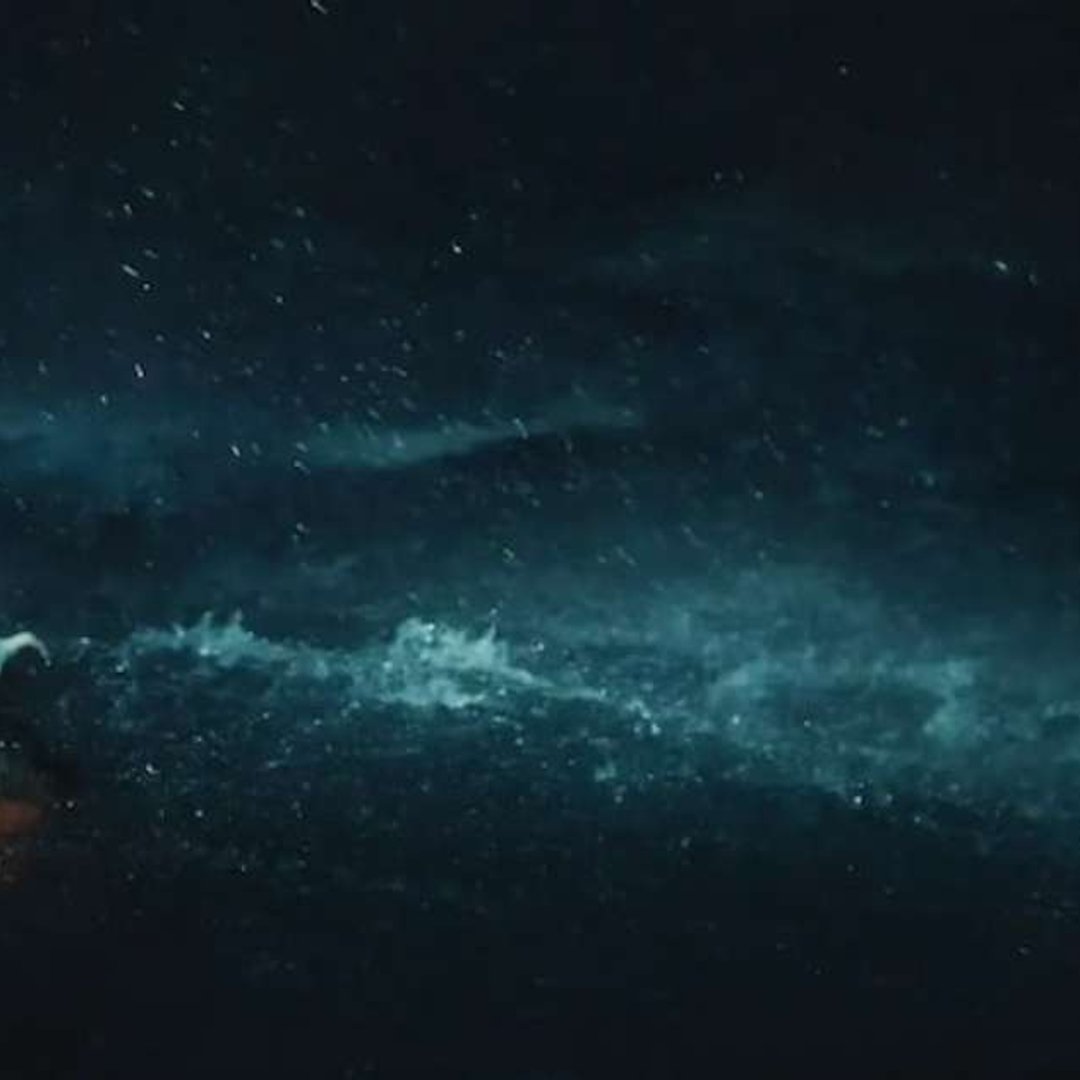 Do Mar Báltico para a Netflix: A História Real e Assustadora por Trás de 'O Naufrágio de Heweliusz'