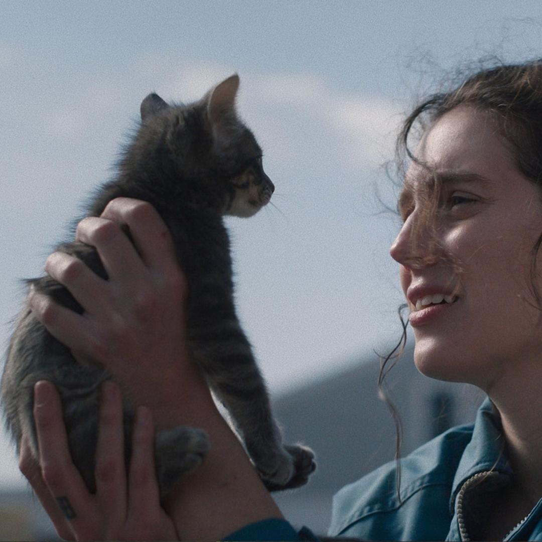 A24 Ataca Novamente: Aclamado drama "SORRY, BABY" ganha trailer e data de estreia no Brasil