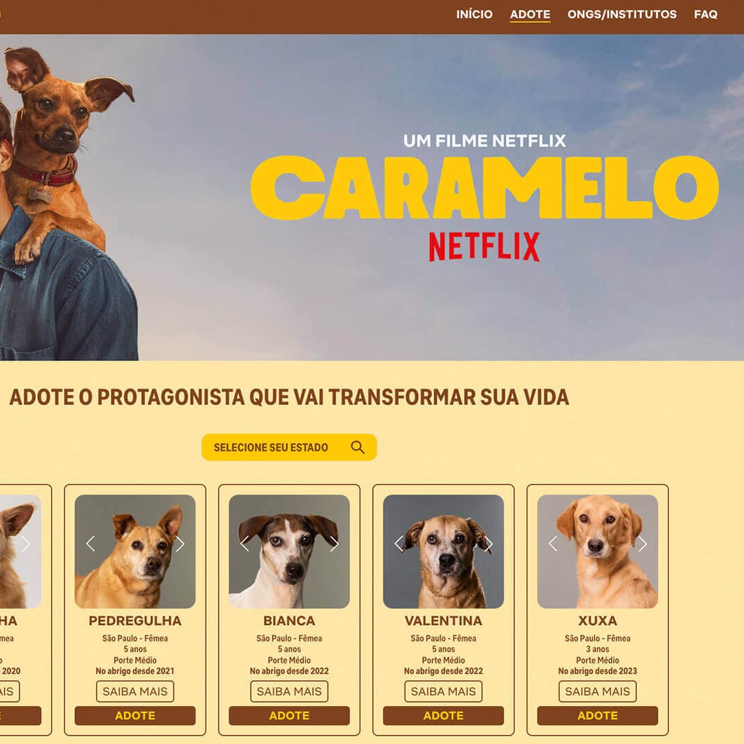 De 'Outer Banks' a 'Sintonia': Netflix troca seus protagonistas por vira-latas em campanha emocionante