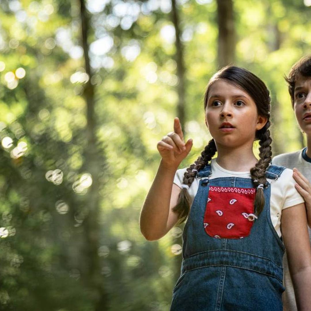 Desvendando o Rugido: Uma Aventura Dinossauro Imersiva Chega com Exposição de Brinquedos!