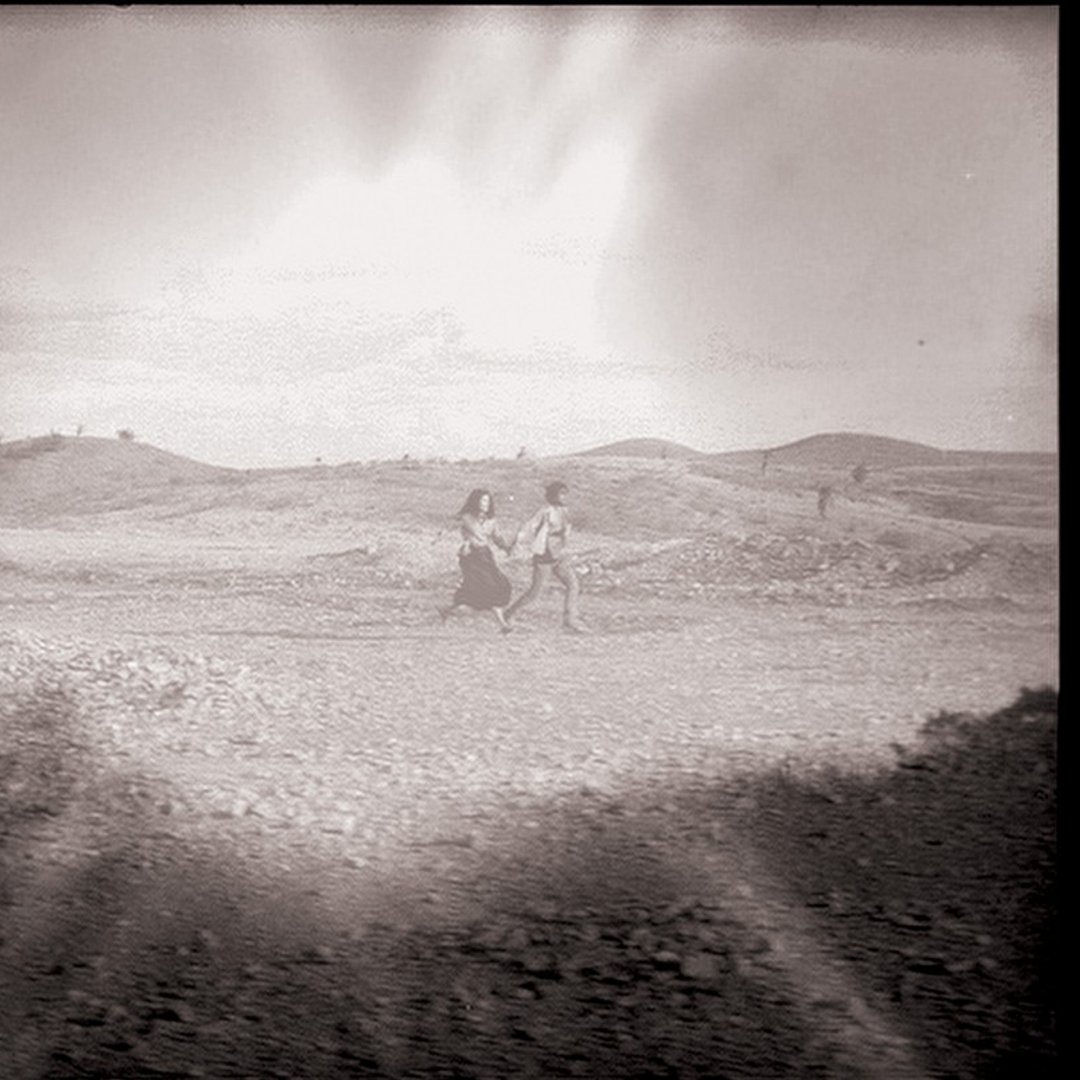 Tóquio se Veste de Verde e Amarelo: Cinema Brasileiro Será a Estrela do Principal Festival da Ásia